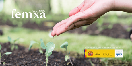 El SEPE impulsa el sector agrario y medioambiental con cursos online 100% subvencionados