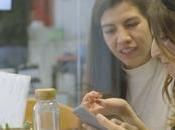 empresa Bioo bate récords iniciativa equity crowdfunding través SociosInversores.com