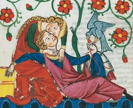 Resumen de la Celestina, de Fernando De Rojas Obsesión de Calisto