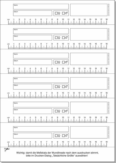 Wunddokumentation Vorlage Kostenlos Dass Sie In Microsoft Word Für Ihre Perfekt Inspiration Schneider