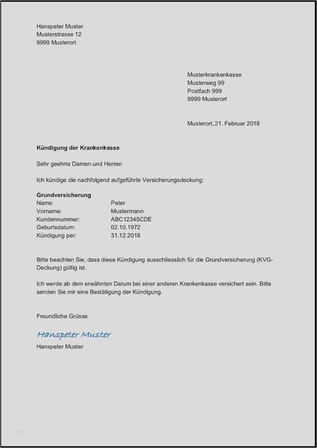 Wunddokumentation Vorlage Kostenlos Dass Sie In Microsoft Word Für Ihre Perfekt Inspiration Schneider