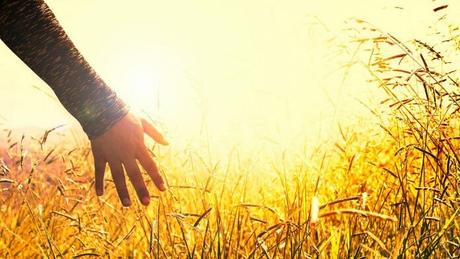 Actividades campestres cerca de Madrid