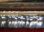 Ruta Humedales Mancha