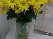 ¿que puedo hacer esto?