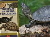 NOVEDAD: Tortugas tierra galápagos