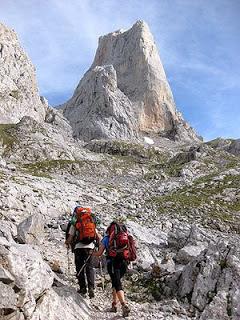 4.138 - TE  BUSCO...