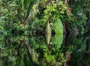 Reflejo perfecto