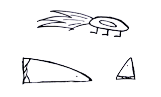 Coronavirus por todos lados