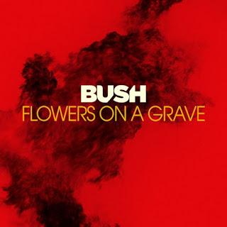 Bush - Flowers on a grave (2020) Bush - Flowers on a grave (2020)