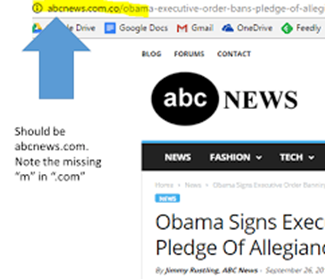 Detectando noticias falsas en Internet Detectando noticias falsas en Internet