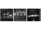 Thomas Dagg crea mundos propios, fusionando