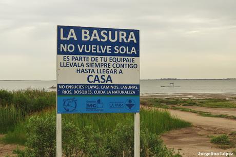 Laguna del Plata (noviembre 2019)