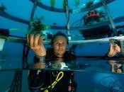 notas (+1000 para leer casa