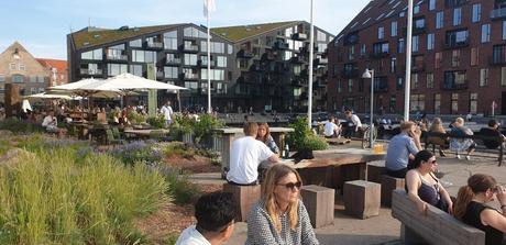 30 notas (+1000 ) para leer en casa