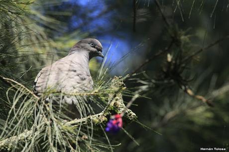 General Belgrano y alrededores