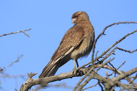 General Belgrano y alrededores