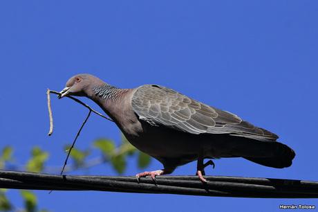 General Belgrano y alrededores