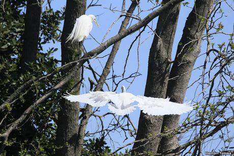 General Belgrano y alrededores