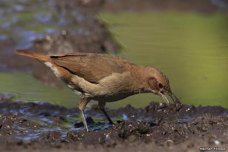 General Belgrano y alrededores