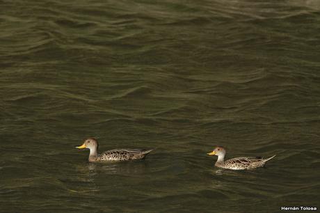 General Belgrano y alrededores