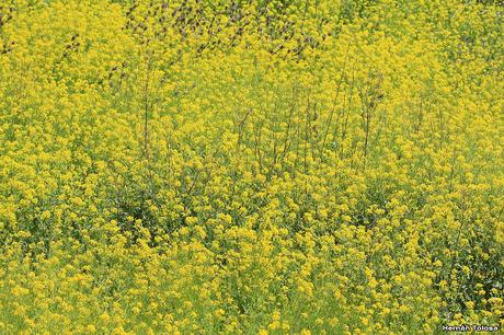 General Belgrano y alrededores