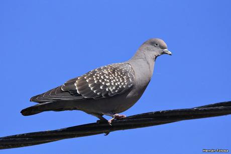 General Belgrano y alrededores
