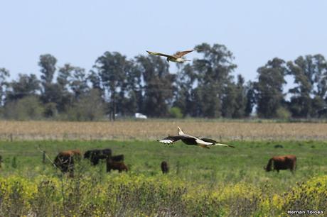 General Belgrano y alrededores