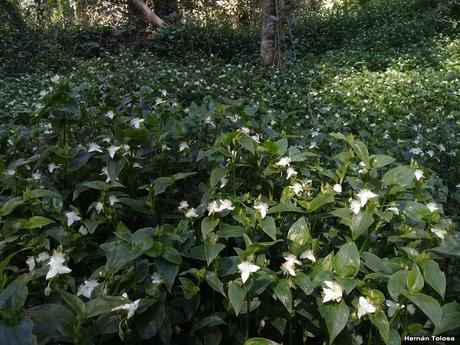 General Belgrano y alrededores