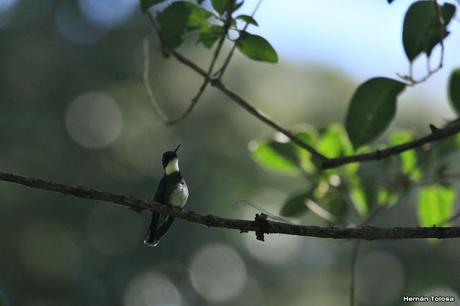 General Belgrano y alrededores