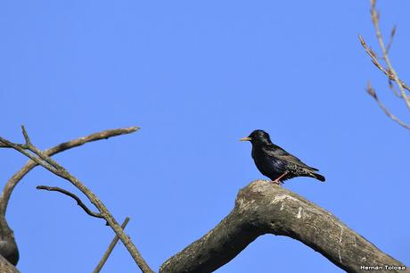 General Belgrano y alrededores