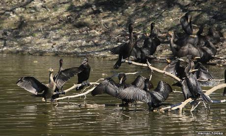 General Belgrano y alrededores