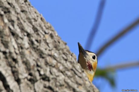 General Belgrano y alrededores