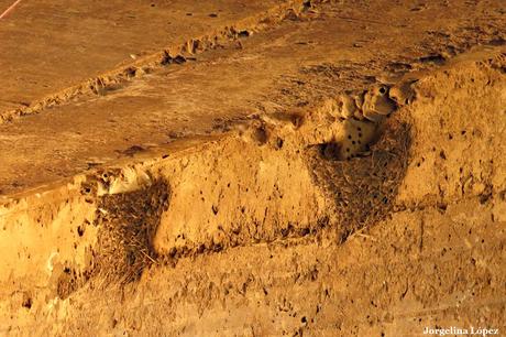 General Belgrano y alrededores