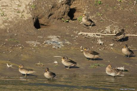 General Belgrano y alrededores