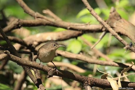 General Belgrano y alrededores