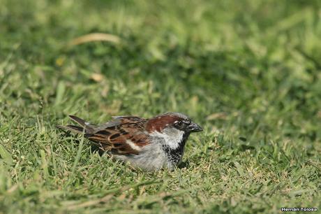 General Belgrano y alrededores