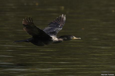 General Belgrano y alrededores