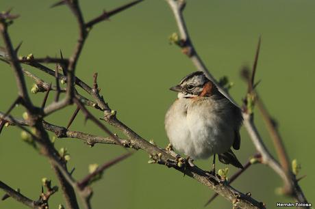 General Belgrano y alrededores