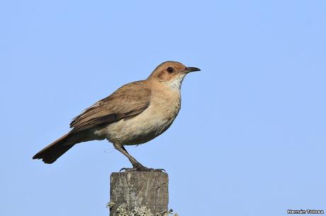 General Belgrano y alrededores