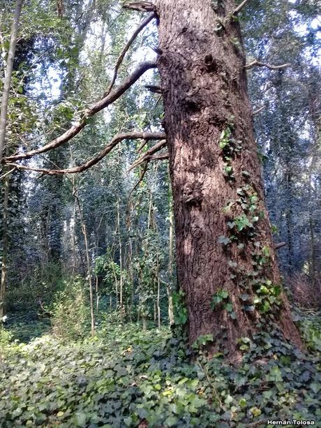 General Belgrano y alrededores