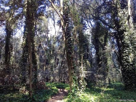 General Belgrano y alrededores