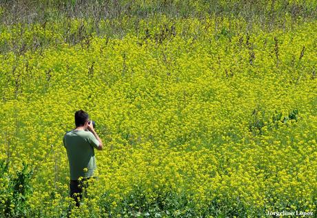 General Belgrano y alrededores