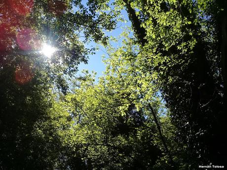 General Belgrano y alrededores