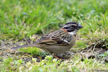 General Belgrano y alrededores