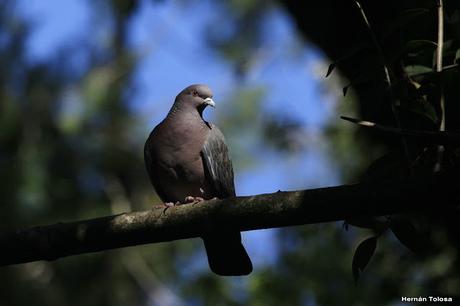 General Belgrano y alrededores