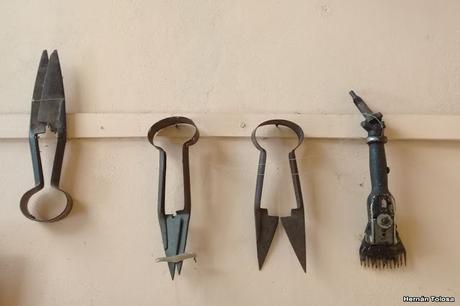 General Belgrano y alrededores