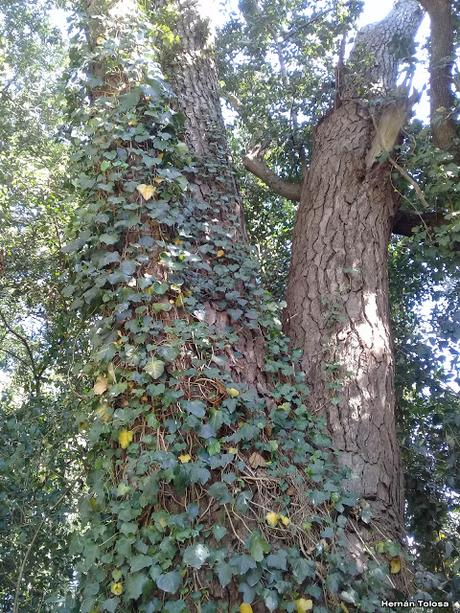 General Belgrano y alrededores