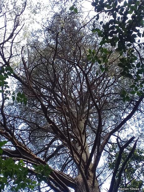 General Belgrano y alrededores