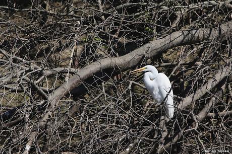 General Belgrano y alrededores