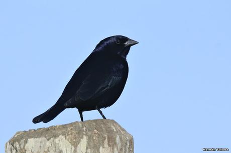 General Belgrano y alrededores